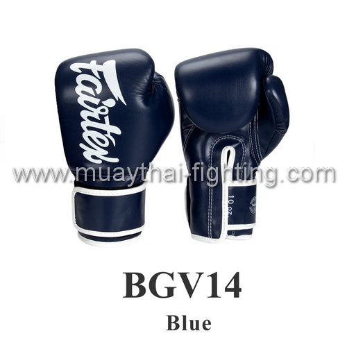 Fairtex Boxing Gloves Brand New Micro Fiber BGV14 Blue