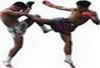 Kickboxing Logo 7