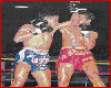 Muay Thai Fight Photos 13