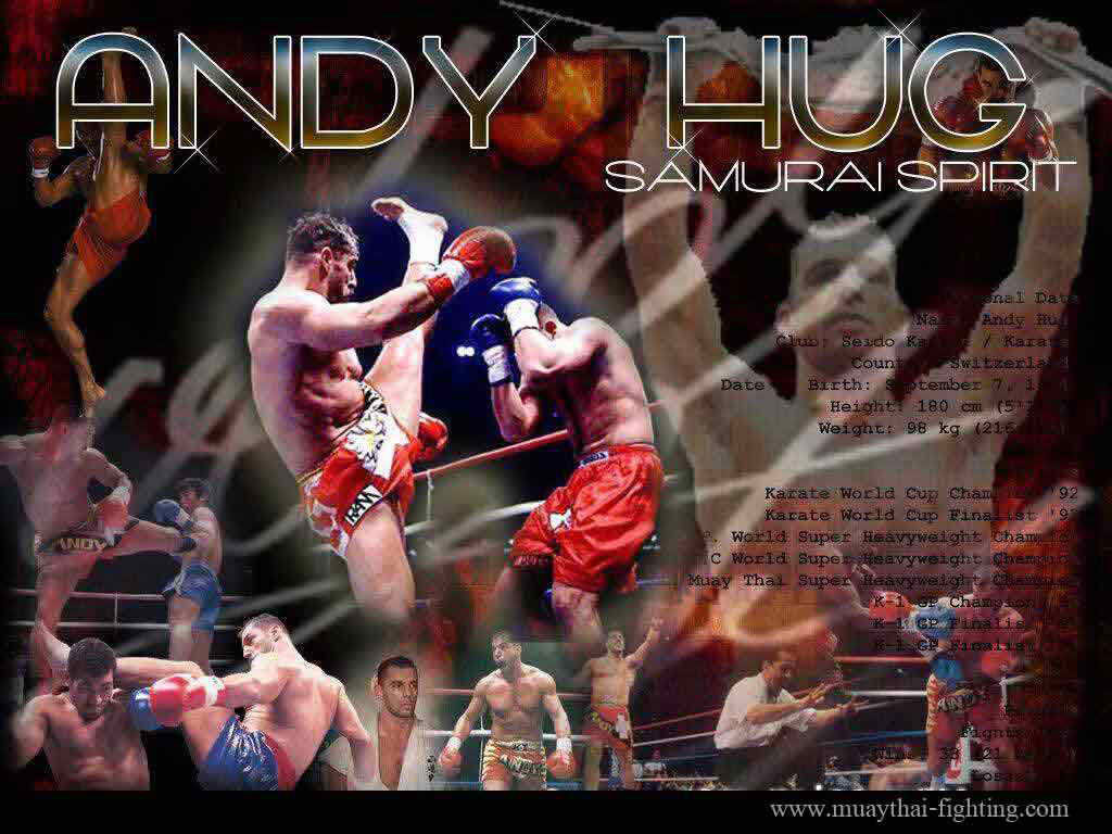 http://www.muaythai-fighting.com/images/k1-wallpapers-andy.jpg