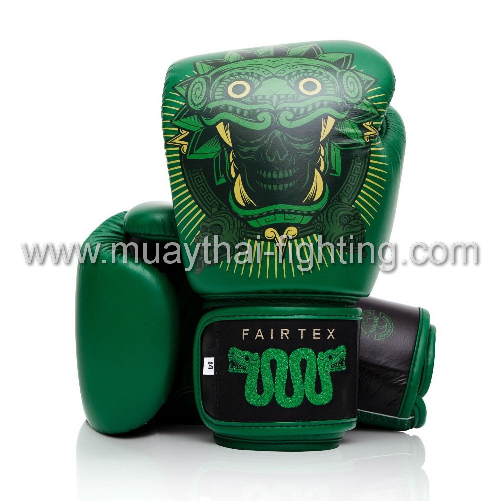 Fairtex Boxing Gloves view1