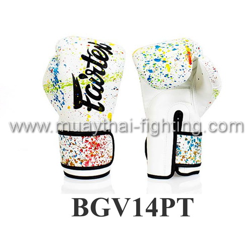 Fairtex Boxing Gloves Micro Fiber Painter BGV14PT