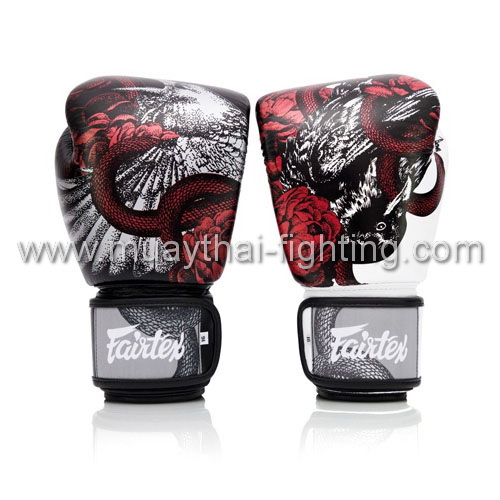 Fairtex Boxing Gloves BGV24