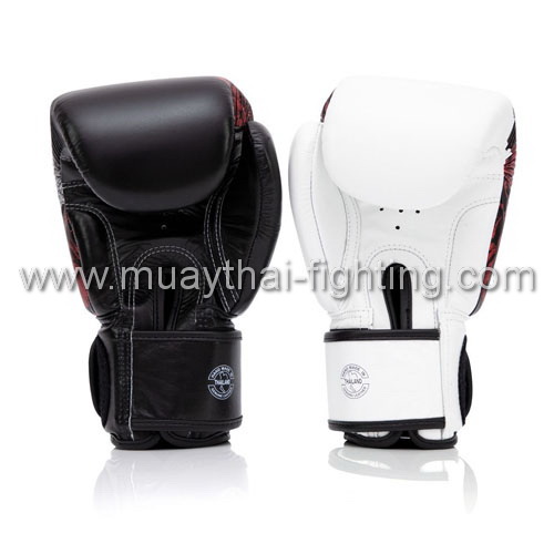 Fairtex Boxing Gloves BGV24 view2