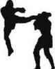 Kickboxing Logo 2