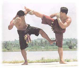 Look Mai Muay Thai Thayae Kham Sao