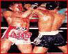 Muay Thai Fight 2 Photos 3