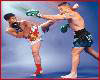Muay Thai Fight 2 Photos 7