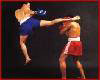 Muay Thai Fight 2 Photos 9