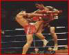 Muay Thai Fight Photos 11