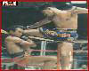 Muay Thai Fight Photos 2