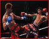 Kickboxing Photos KAOKLAI 16