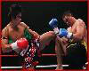 Kickboxing Photos KAOKLAI 5
