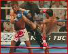 Kickboxing Photo Buakaw 3