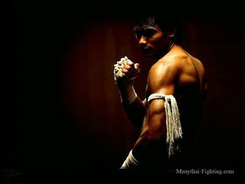 Muay thai HD wallpapers  Pxfuel