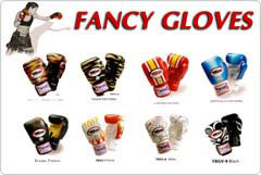 Fancy Boxing Gloves