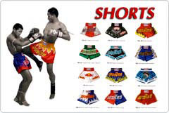 Muay Thai Shorts