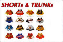 Muay Thai Shorts and Trunks